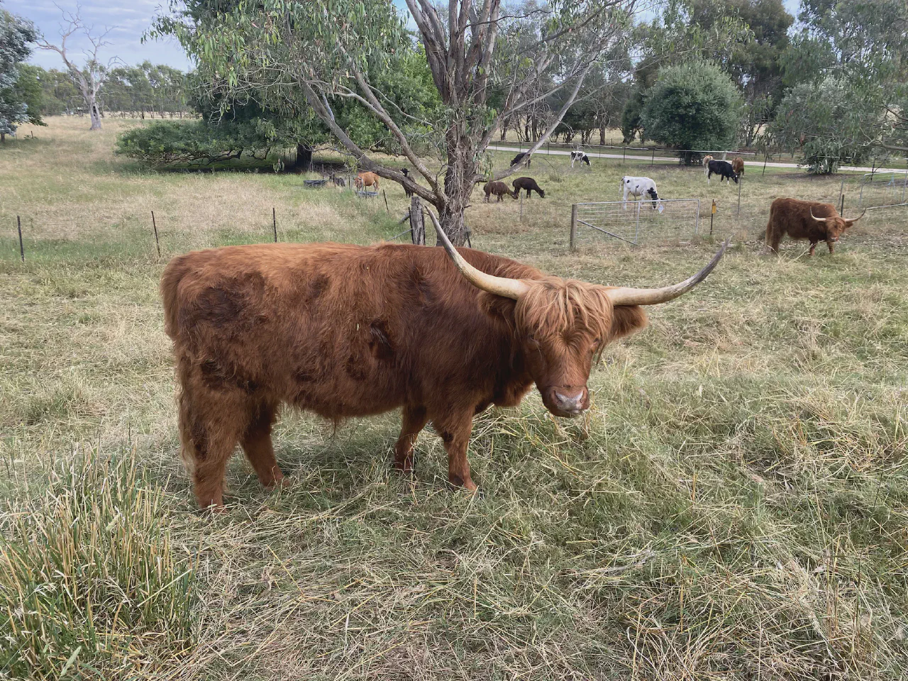 Hey there big fella!