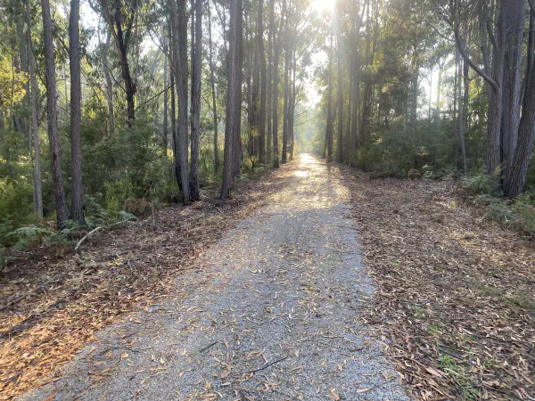 Boggy Creek to the Snowy River