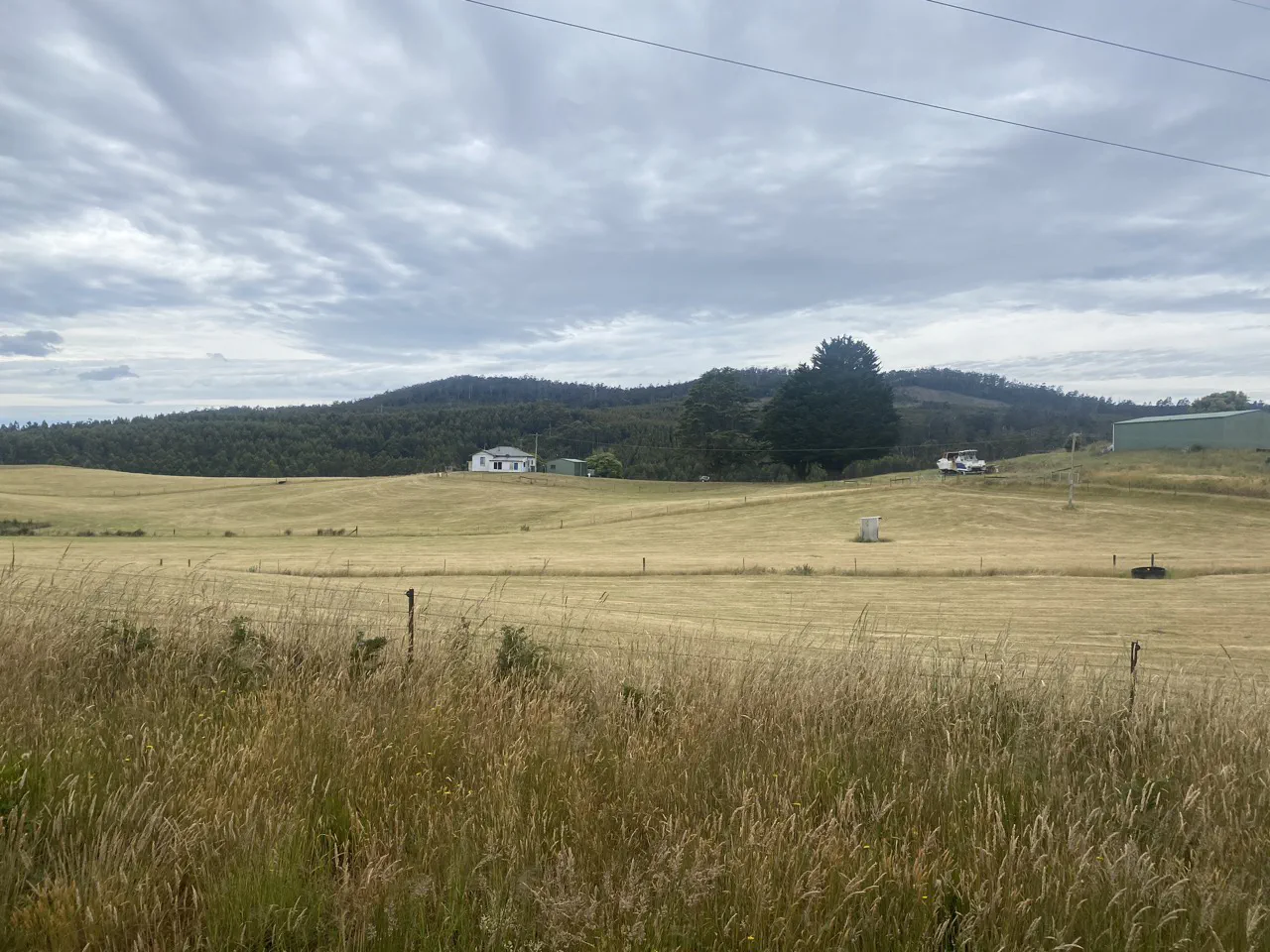 Rolling green pastures