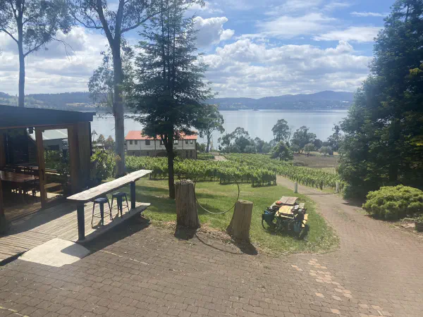 Vineyards on the river, a family maritime history and... penguins!