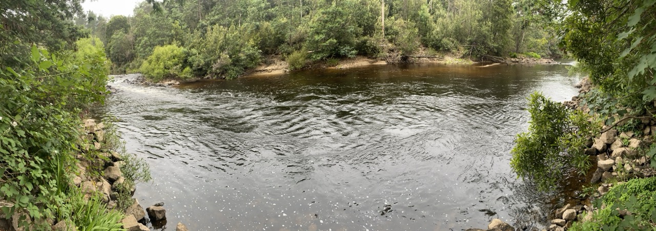 Beautiful trout water that just begged one to fish it.